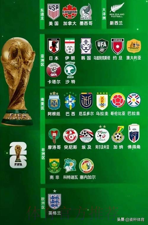 世界杯参赛球队详细